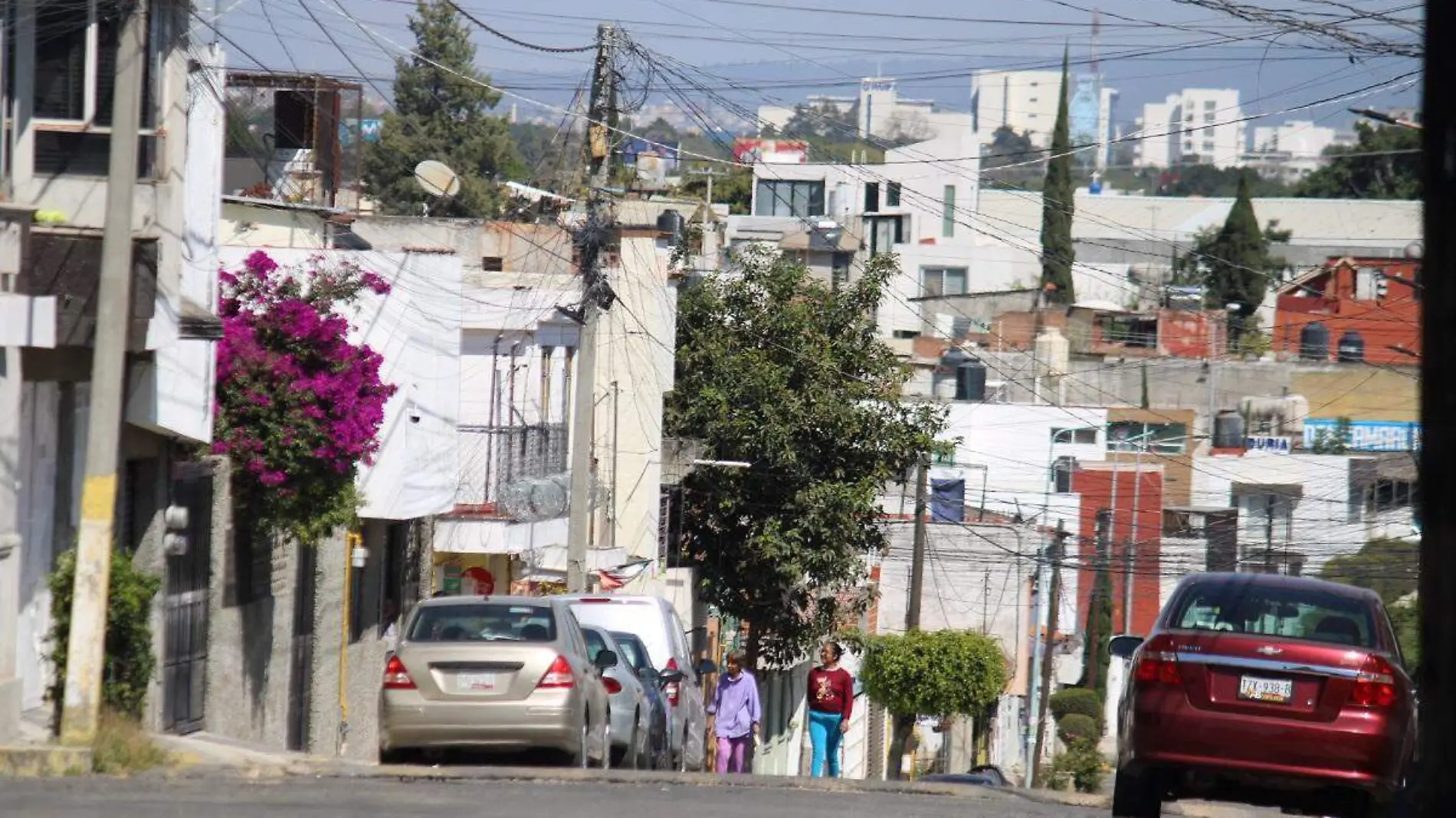 tierra en patrimonio c